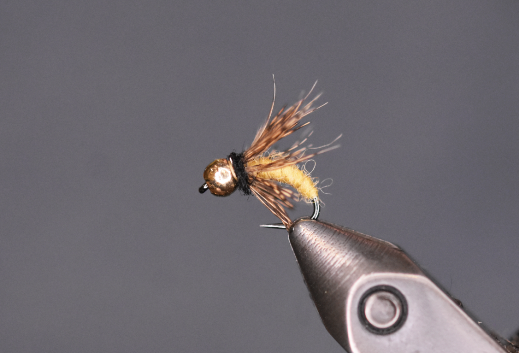 fly in a fly tying vise